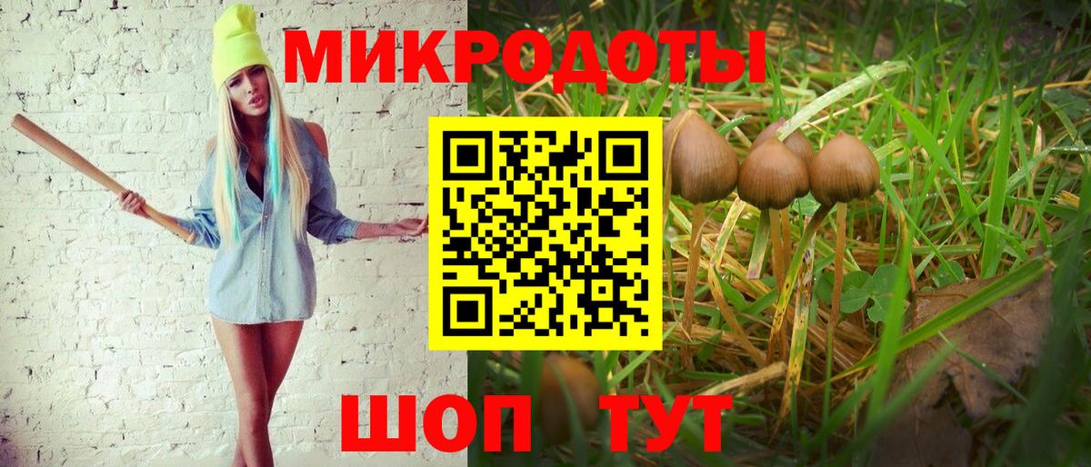 Псилоцибиновые грибы Cubensis Лянтор